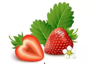 甜蜜草莓爆料视频大全下载,甜蜜爆料视频大盘点