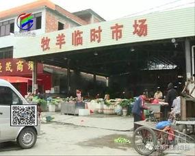 真实爆料批发市场事件视频,视频曝光惊人交易现场